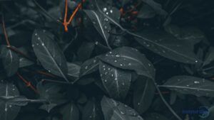 Daltonizm – na czym polega, jak rozpoznaje się tę wadę i co widzą daltoniści?